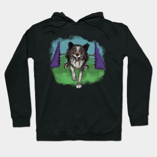 Happy agility dog Hoodie